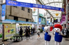 젊음의 거리에 아름다운 선거테마거리 조성
