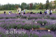 [떠나요, 주말축제]도심과 자연에서 때이른 무더위 탈출하자