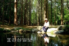 [시민기자단]울산대공원 메타세콰이어길로 힐링 여행
