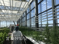 버려진 휴대폰 공장, 유럽 최대규모 도시농장으로 변신