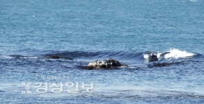 울산 북구청 관광스토리텔링 공모전 미역바위(최미정씨 作) 대상
