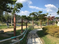 [합천군청-환경위생과] 합천군, 일해공원 쿨링포그 설치로 시원한 여름나기!