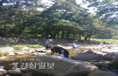 울산보호관찰소, 환경 정화 활동과 환경보호 캠페인 펼쳐