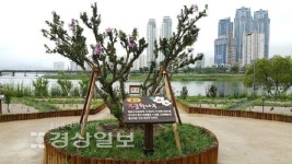 태화강 무궁화동산, 무궁화명소 우수
