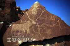 암각화를 통해 본 선사 인류문화의 정신세계