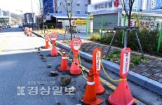 [사진뉴스]도로변 불법시설물 눈살
