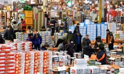 [사진뉴스]화재 도매시장, 청과물동은 활기