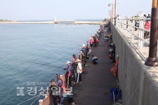 [울산, 어디까지 가봤니-동구편]바다의 아름다움에 취해 걷다보면 시간을 잊는다