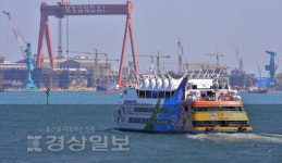 울산해경, 고래바다여행선 내항투어 불허