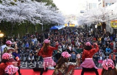 울산 중구 약사동 평산로 일원에서 2019 약사 벚꽃 축제 열려