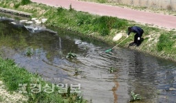 가뭄에 펌프고장까지…약사천 악취 진동