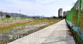 울산 중구 장현저류지 복개 공영주차장 조성 계획 차질