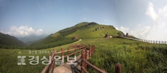 소시민들의 소박한 여정…울산 트레킹大지도, 아름다운 풍광 말벗삼아…울산을 걷다