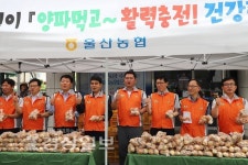 울산농협본부 양파농가돕기...농산물 나눔·소비촉진 행사