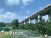 부산울산고속도로 오염물질 상수원 유입 논란