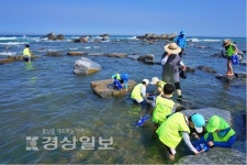 울산주전어촌체험마을,관광공사 추천7월 가볼 만한 곳