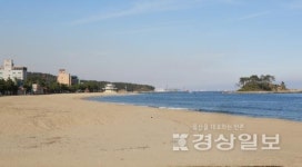 진하해수욕장에 악취 진동 민원 빗발