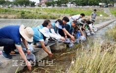 울산 태화강 생태계·수면자원 복원, 동남참게 종자 10만마리 방류