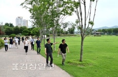 2019년 태화강설치미술제 장소 태화강 철새공원으로 변경