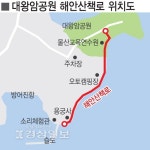 대왕암공원~슬도 해안산책로 정비…대왕암로드 탄생 기대