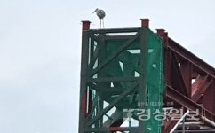 울산 태화강 국가정원 일기,  오산대교 아래 인도교 공사 속도내는 듯