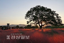 울산지역 주말 문화가(2019년 9월 20일~)