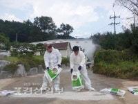 울산축산농협, 아프리카 돼지열병 예방을 위한 석회 도포 및 소독활동 실시