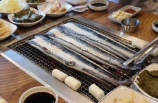 국내산 장어 특징적인 천호동 맛집 양도령숯불민물장어 눈길