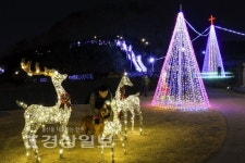 울산 남구, 선암호수공원 야간조명 2020년 1월말까지 운영