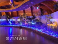 암각화 발견 당시 미공개 사진 전시
