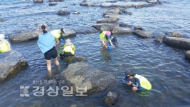 주전어촌체험마을 설 연휴 가볼만한 전국 휴양마을에 2년 연속 선정