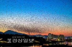 양질의 일자리 만들고 도시재생사업 추진 활력 있는 남구로