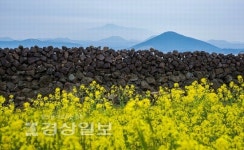 류미숙 작가 개인전, 30여 점의 사진에 제주 돌담을 담다
