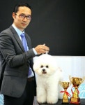 창원코리아애견미용학원 설민우 원장, 2020 대한민국 미래를 여는 인물 大賞 수상