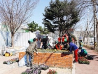 울산 북구 송정동 새마을회와 바르게살기위원회, 화봉시장과 화봉파출소 앞 화단 등에 봄꽃 심어