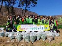 울산 울주군 범서읍 지역사회보장협의체, 쪽파 200㎏과 시금치 50㎏을 수확해 울주푸드뱅크마켓에 전달
