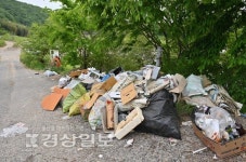 울산 태화강변엔 벌써 피서쓰레기