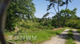 개발 제한 서생 도시자연공원에 불법경작 적발