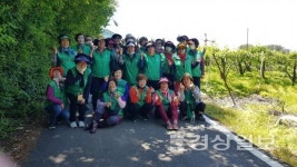 울산 울주군 온산읍 새마을부녀회, 온산읍 배농가에서 배 열매 솎기 봉사활동