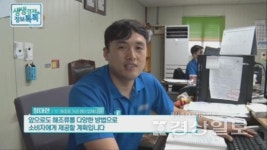 대한물산, 해조류와 건어물 등 해조류명절선물세트 선보여
