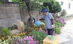[정원도시울산, 시민손으로!]나를 위한 정원 가꾸기 늘면 정원도시 자연스레 완성