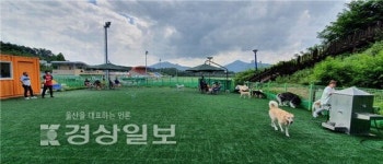 남구 애견운동공원 야간개장 11월말까지 연장