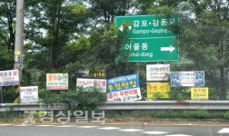 도로변 무분별 입간판 눈살