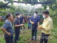이선호 울산 울주군수, 낙과 피해가 발생한 삼남면 신화리 일원 과수농가 방문