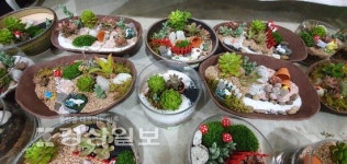 [정원도시울산, 시민손으로!]반려식물 입양으로 생활 속 소소한 즐거움 느끼세요