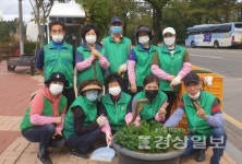 울산 동구 전하1동행정복지센터, 가을 초화 식재 및 추석맞이 환경정비 활동 실시