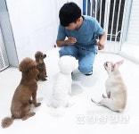 아이조아 요양보호소, 강아지무료분양 가능