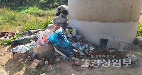 대한수중환경보호협회, 태화강 상류 무동교 일원서 친환경 생태교란종 퇴치 및 수중정화 활동 벌여