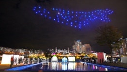 태화강빛축제. 참신한 지역 축제, 그 가능성을 봤다