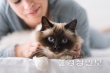 한국장학진흥원, 펫시터 반려동물관리사 자격증 취득 교육과정 무료수강 이벤트 진행